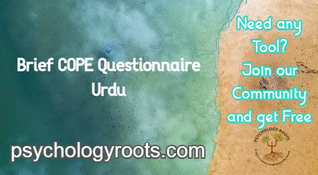 Brief COPE Questionnaire Urdu