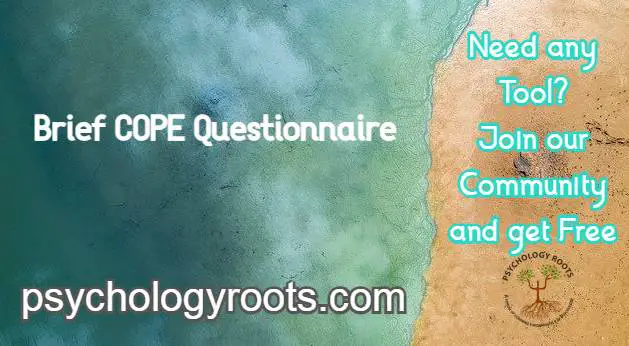Brief COPE Questionnaire
