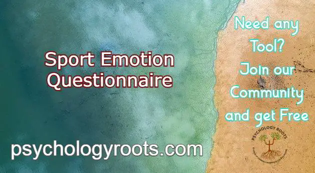 Sport Emotion Questionnaire