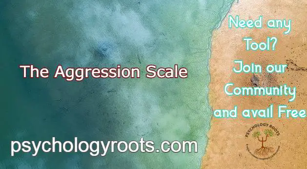 The Aggression Scale