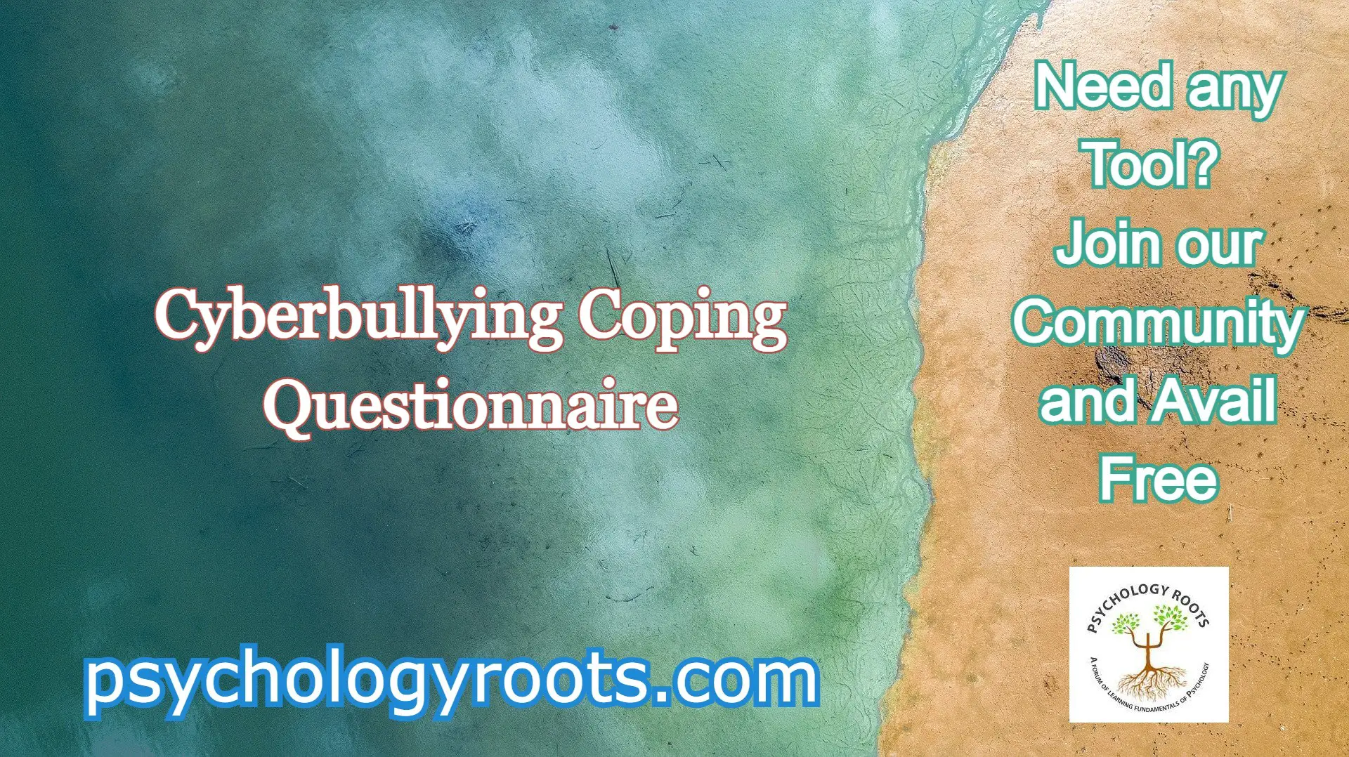 Cyberbullying Coping Questionnaire