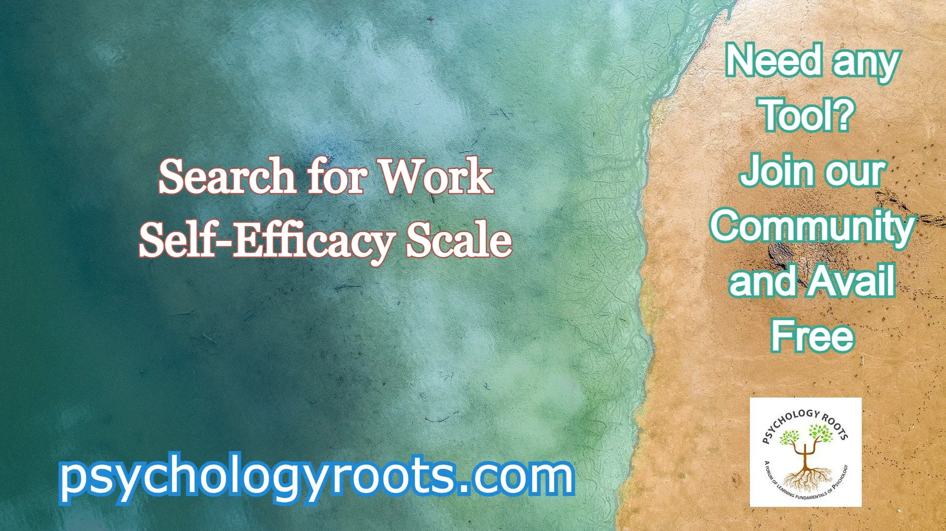 Search for Work Self-Efficacy Scale