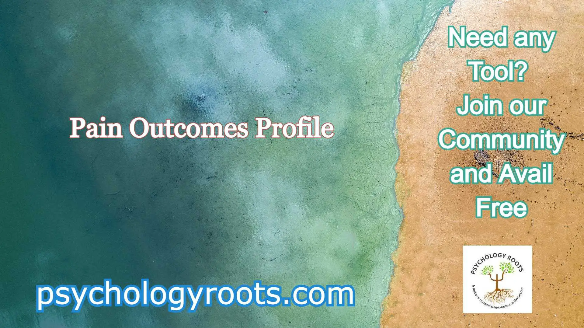 Pain Outcomes Profile