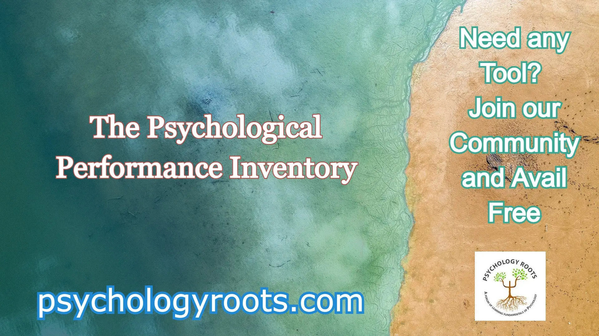 The Psychological Performance Inventory