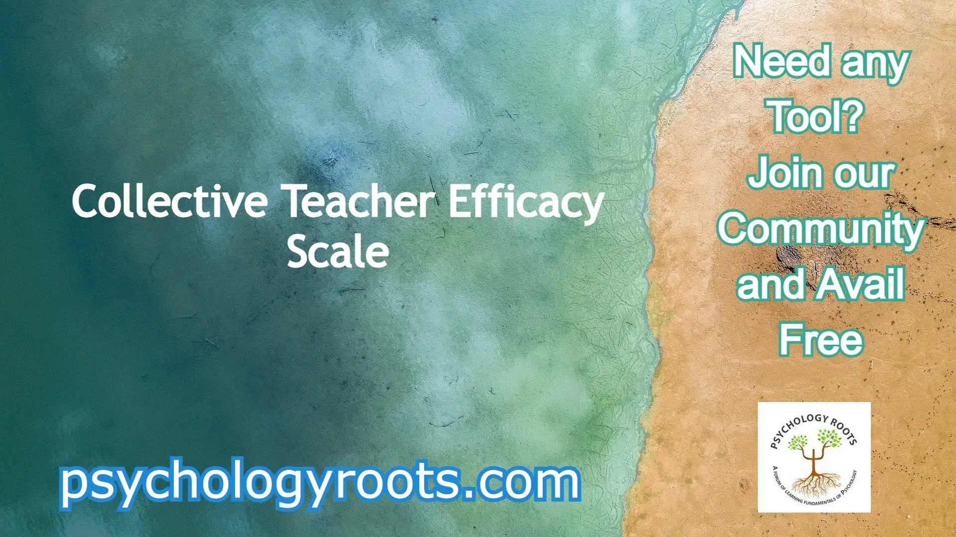 Collective Teacher Efficacy Scale