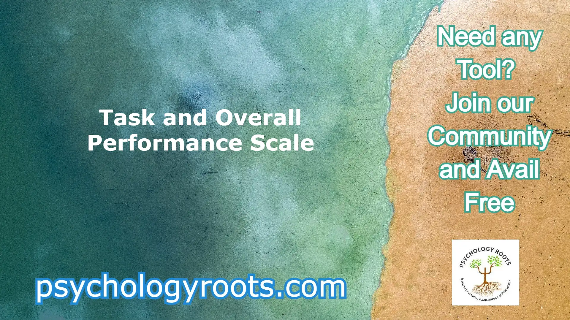 Task and Overall Performance Scale