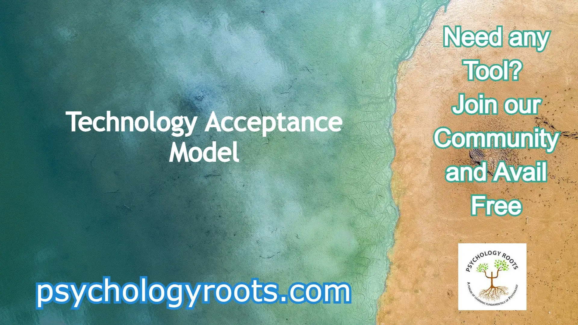 Technology Acceptance Model