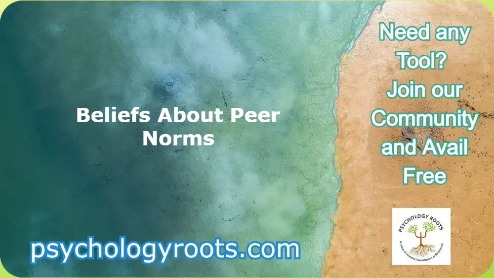 Beliefs About Peer Norms