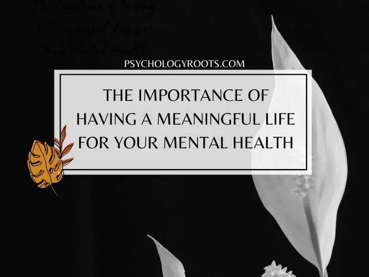 Meaningful Life for Your Mental Health