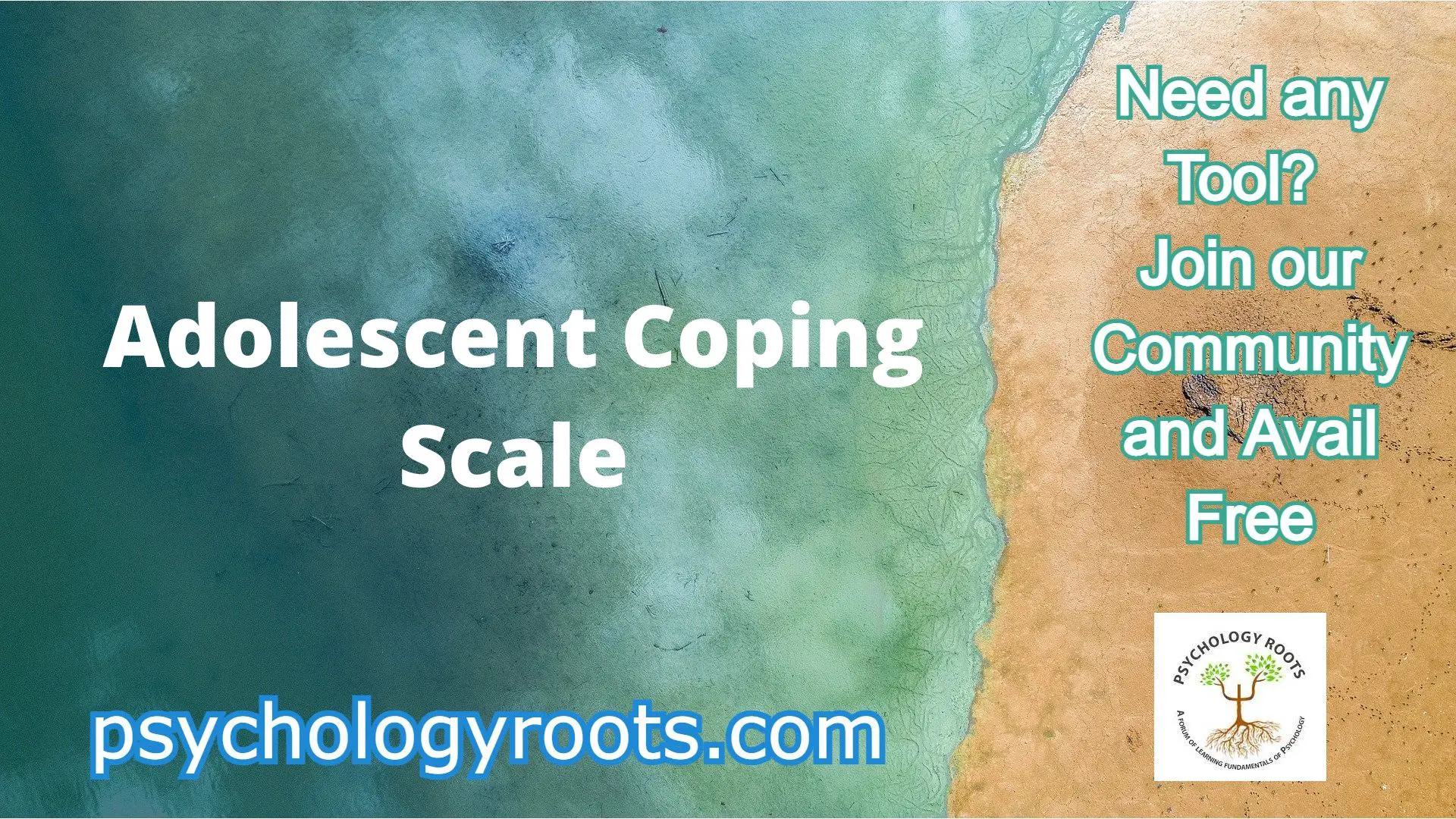 Adolescent Coping Scale