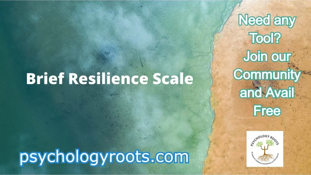 Brief Resilience Scale