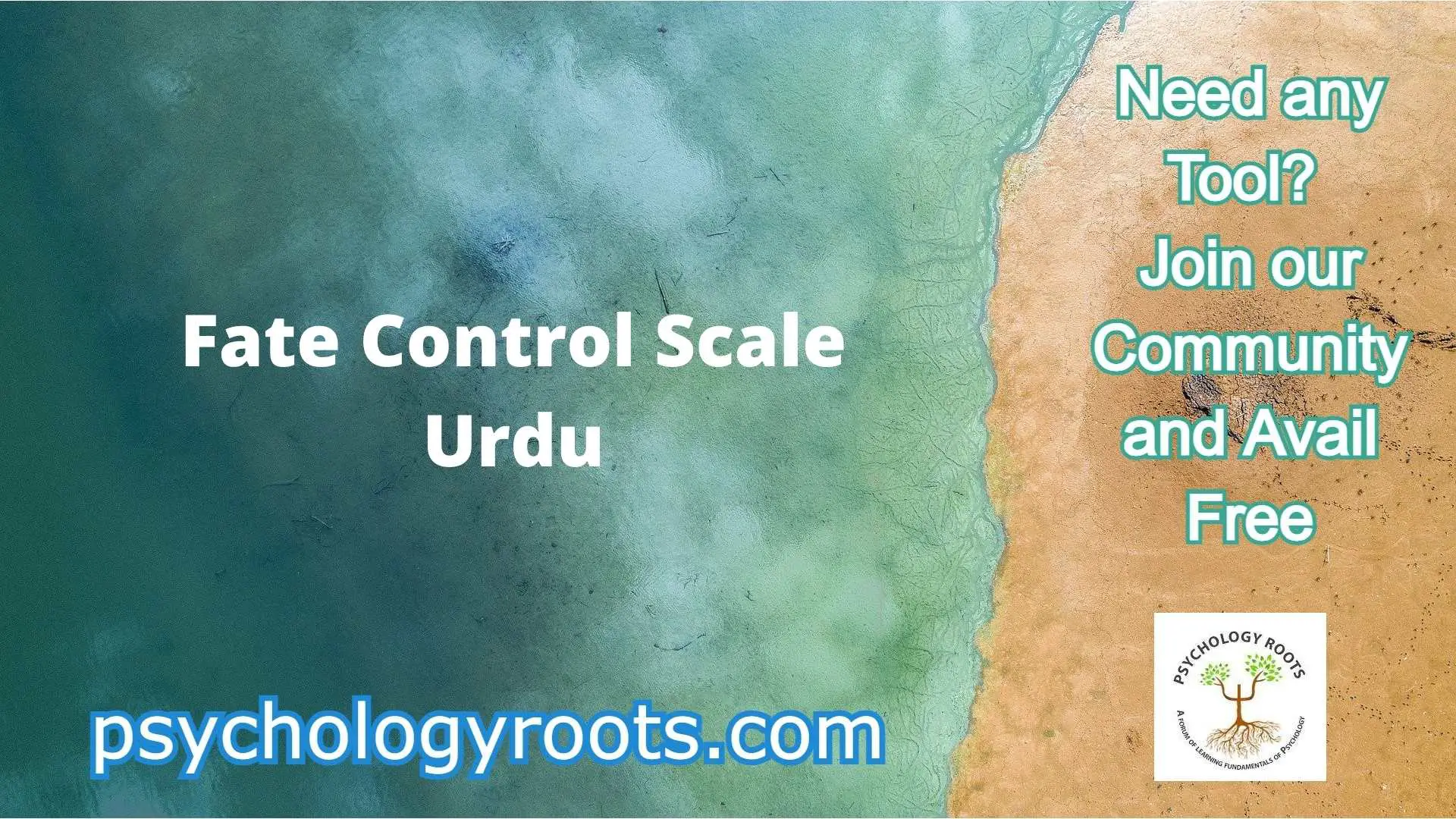 Fate Control Scale Urdu