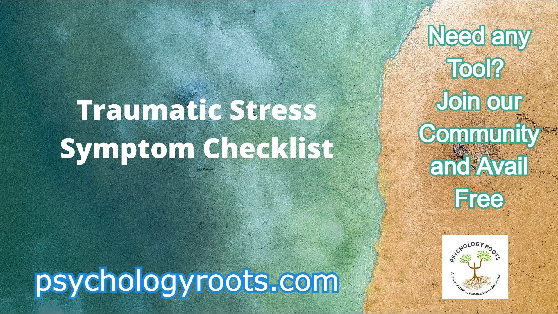 Traumatic Stress Symptom Checklist