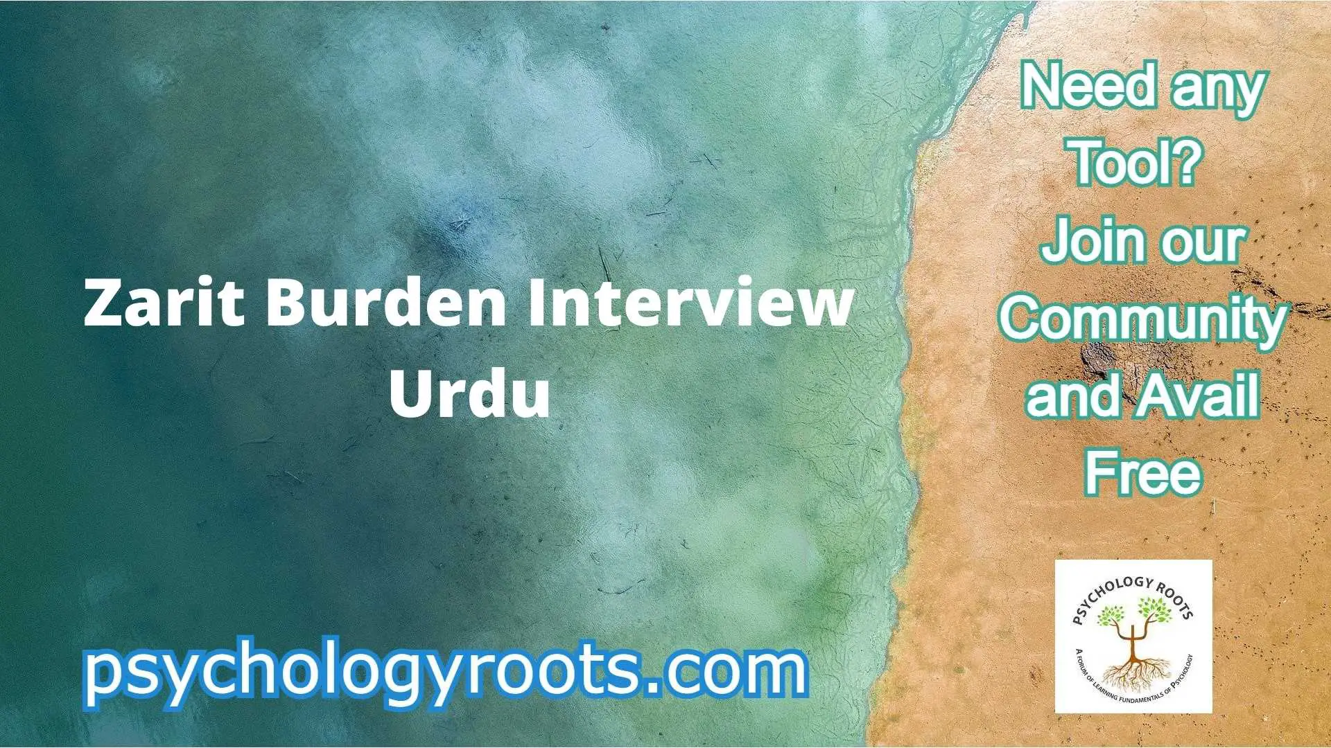 Zarit Burden Interview Urdu
