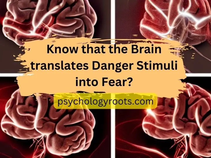 Know that the Brain translates Danger Stimuli into Fear