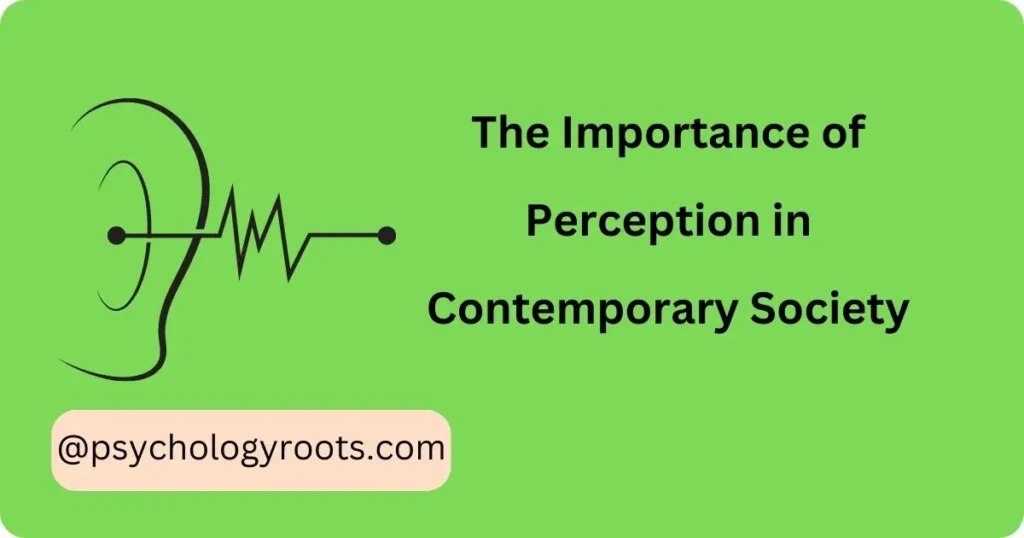 The Importance of Perception in Contemporary Society
