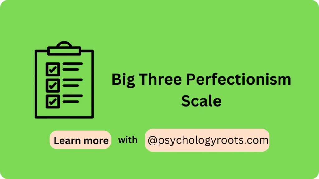 Big Three Perfectionism Scale