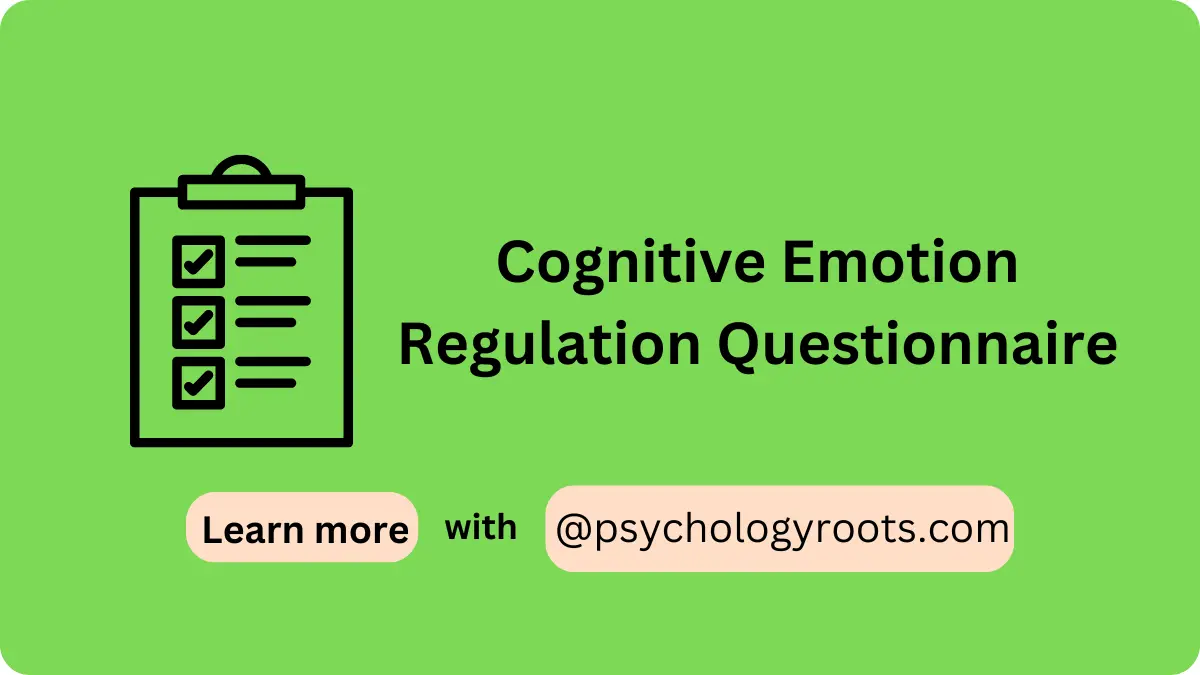 Cognitive Emotion Regulation Questionnaire
